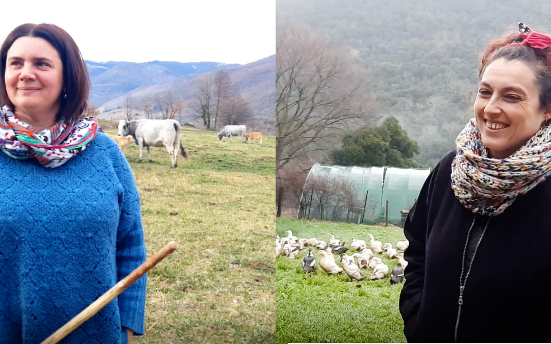 Installation féminine dans les Pyrénées-Orientales : 2 éleveuse témoignent